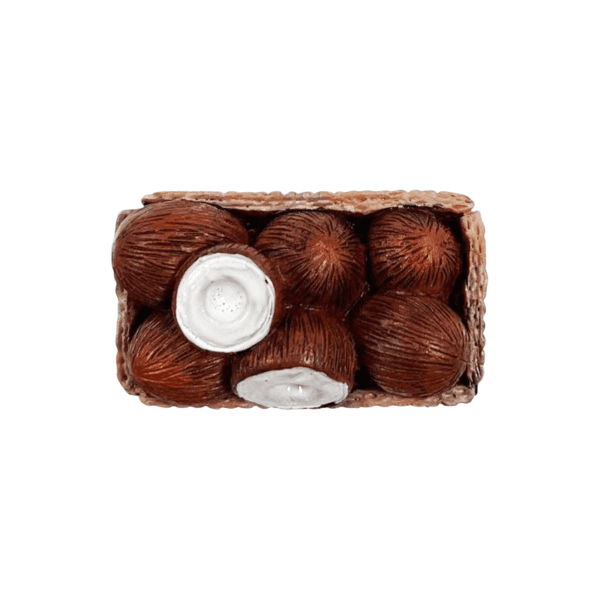 Carton Coconut Natural Resin Fridge Magnet