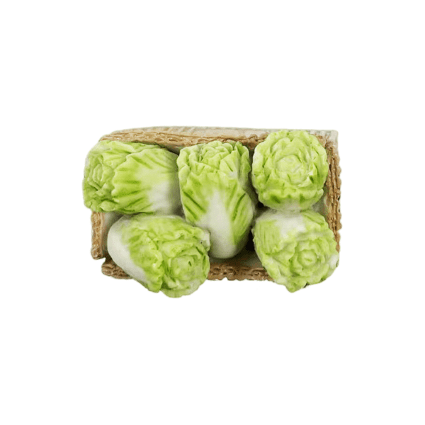 Carton Chinese Cabbage Natural Resin Fridge Magnet