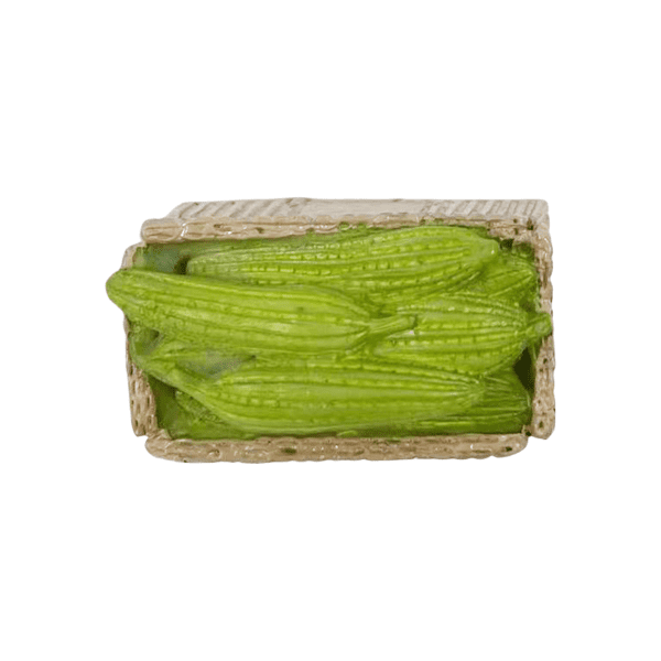 Cardboard Bitter Melon Natural Resin Fridge Magnet