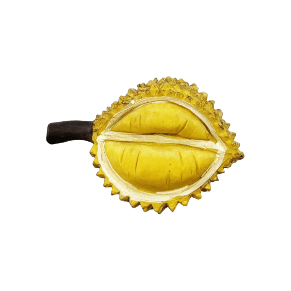 Durian natural resin fridge magnet